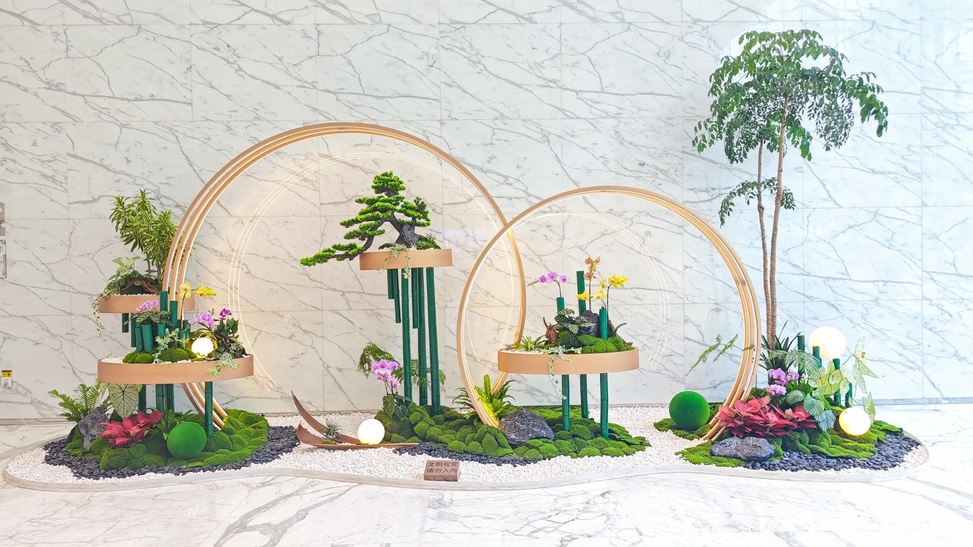 余姚盆景出租哪家专业?这里给您答案